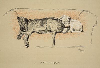 Separation, 1930, 1st Edition of 